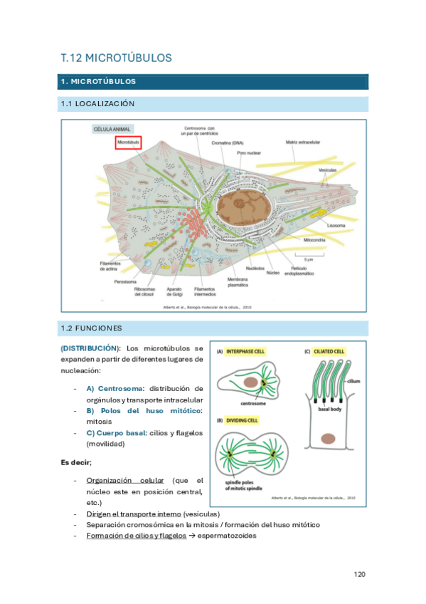 Miniatura del documento Tema-12.pdf