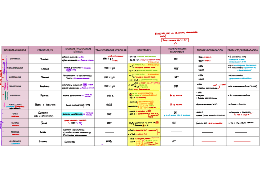 Miniatura del documento TABLA-NEUROTRANSMISORES.pdf