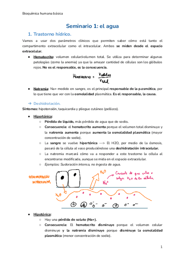 Miniatura del documento SEMINARIO-1.pdf