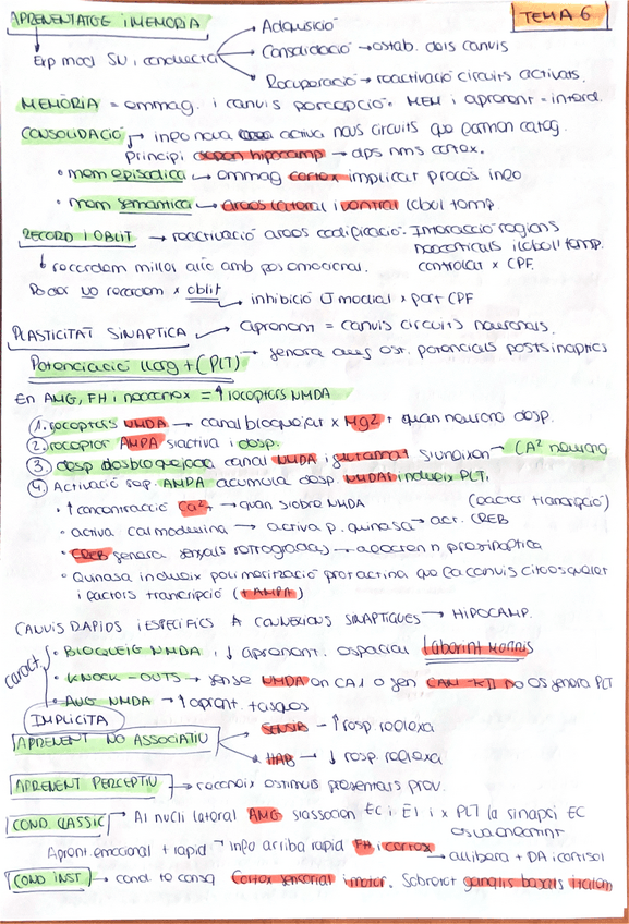 Miniatura del documento resum-a-ma-TEMA-6-FISIO-II.pdf