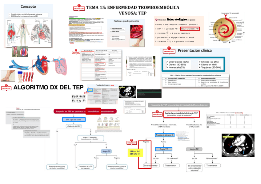 Miniatura del documento Esquema-TEP.pdf