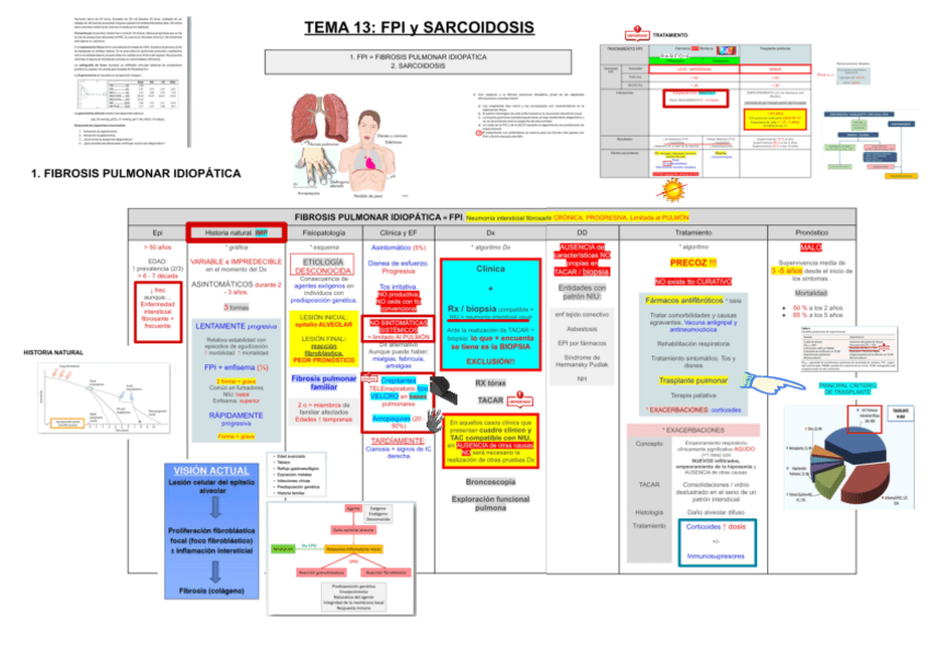 Miniatura del documento 13-FPI-Y-SARCOIDOSIS.pdf