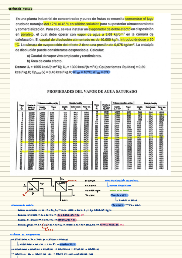 Miniatura del documento seminarios-resueltos-todods.pdf