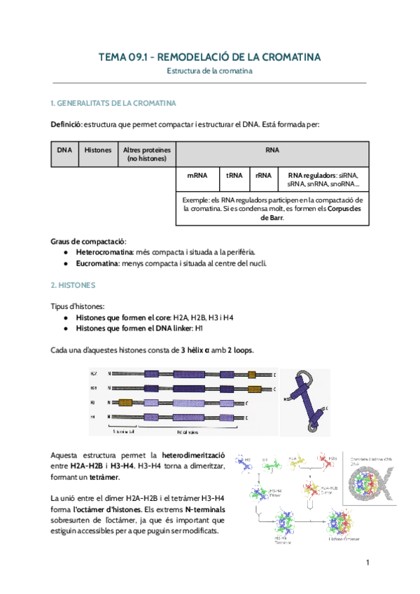 Miniatura del documento Segon-Parcial-Biologia-Molecular-dEucariotes.pdf