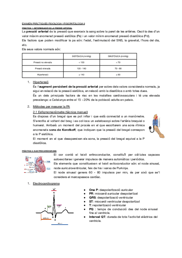 Miniatura del documento examen-practiques-fisio-II.pdf