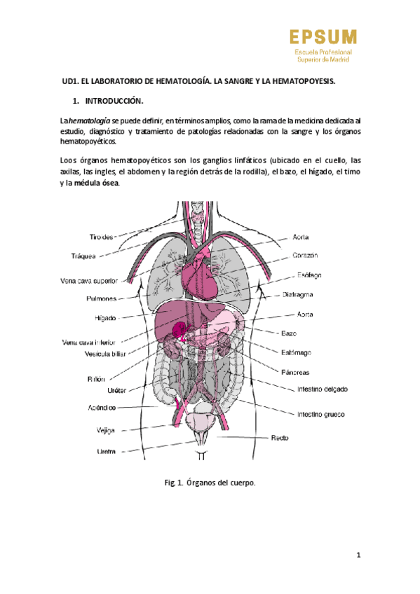 Miniatura del documento TEMA-1.-EL-LABORATORIO-DE-HEMATOLOGIA.-LA-SANGRE-Y-LA-HEMATOPOYESIS..pdf