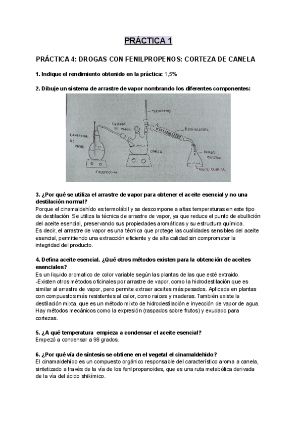 Miniatura del documento TODAS-PRACTICAS-NOSIA.pdf