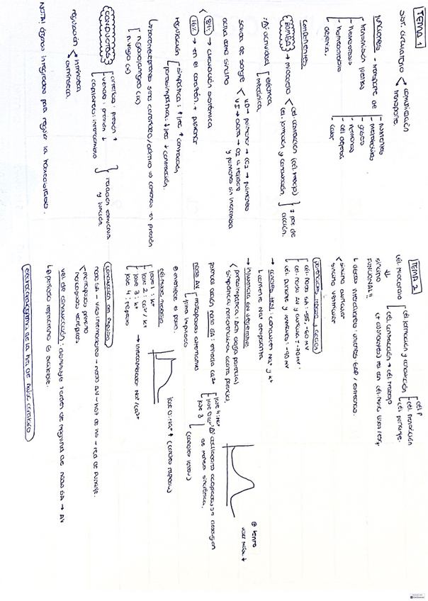 Miniatura del documento apuntes-fisio-medica-t.1-5.pdf