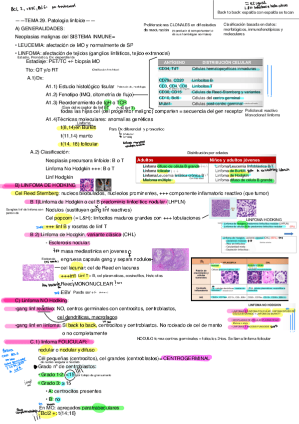 Miniatura del documento Esquema-Linfomas.pdf