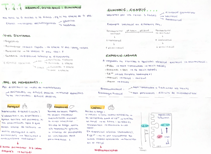 Miniatura del documento ESQUEMES-BLOC-2.pdf