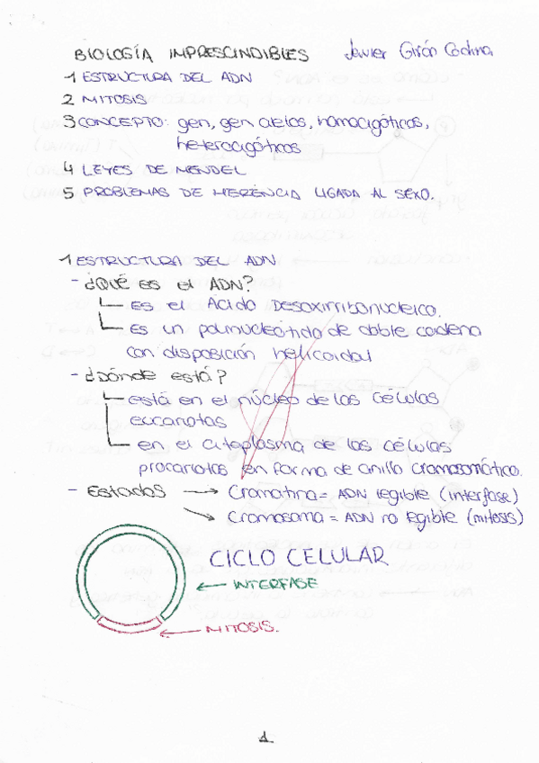 Miniatura del documento IMPRESCINDIBLES-DE-BIOLOGIA-DE-4o.pdf