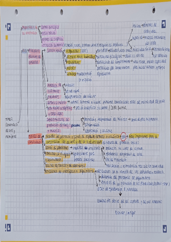 Miniatura del documento Tema-7.-Conservacion-de-aves-y-mamiferos.pdf