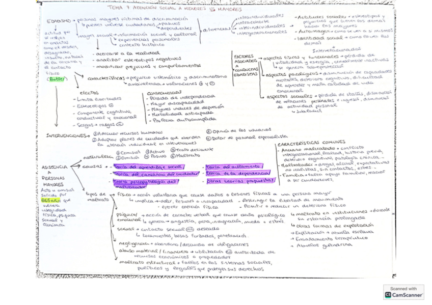 Miniatura del documento Esquemas-T7-Asistencia.pdf