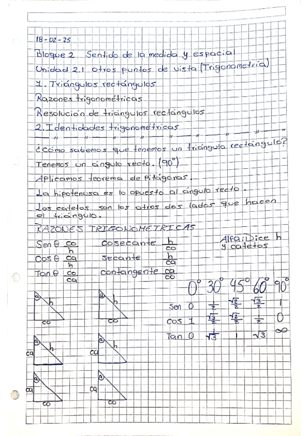 Miniatura del documento TRIGONOMETRIA-Y-GEOMETRIA-MATSEM2.pdf