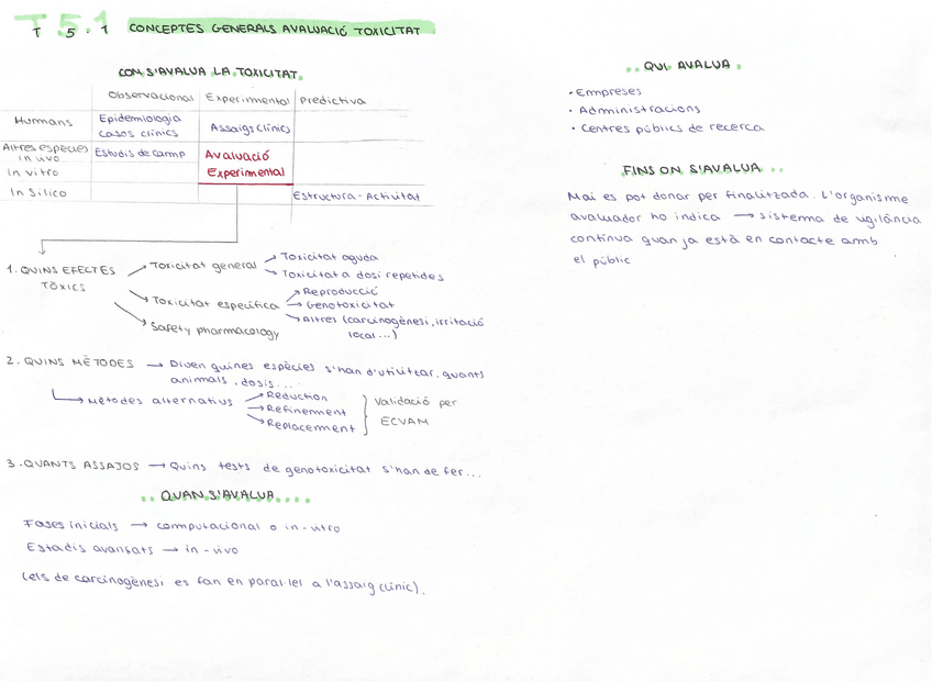 Miniatura del documento ESQUEMES-BLOC-5.pdf