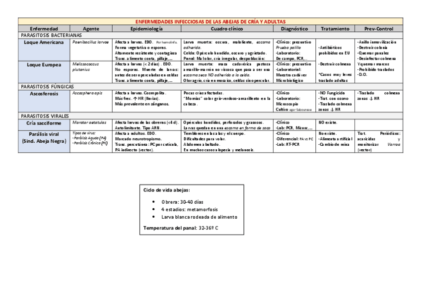 Miniatura del documento Tabla-Abejas.pdf