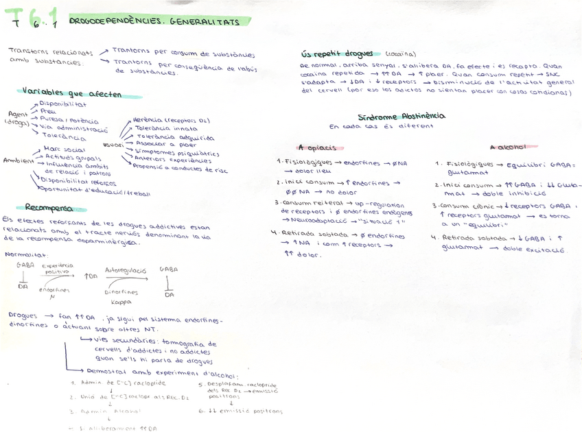 Miniatura del documento ESQUEMES-BLOC-6.pdf