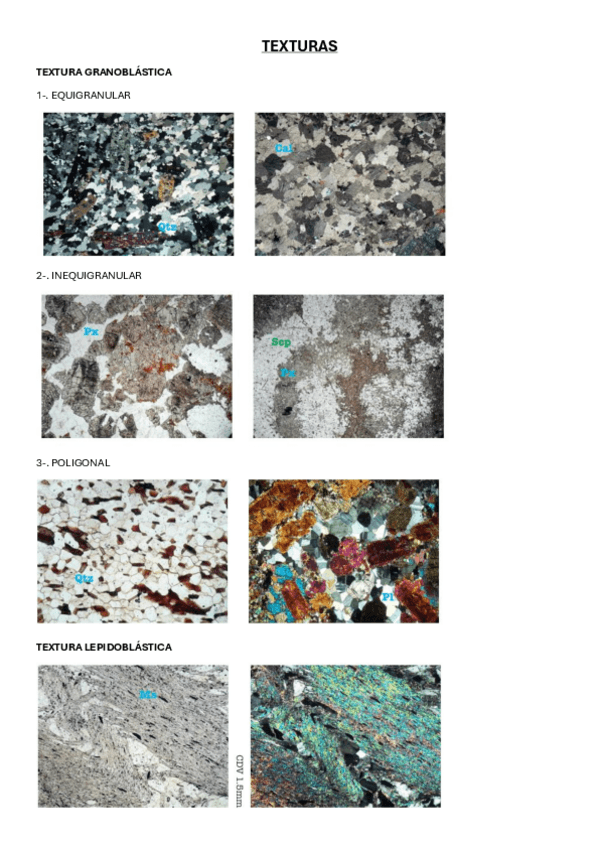 Miniatura del documento TEXTURAS-META.pdf