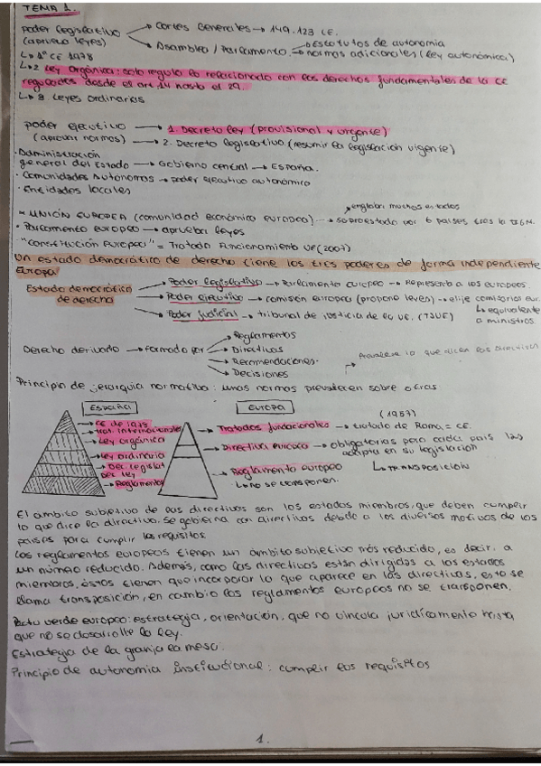Miniatura del documento derecho-ambiental-2025-tema-1-tema-6.pdf