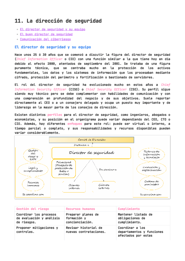 Miniatura del documento 11.-La-direccion-de-seguridad.pdf