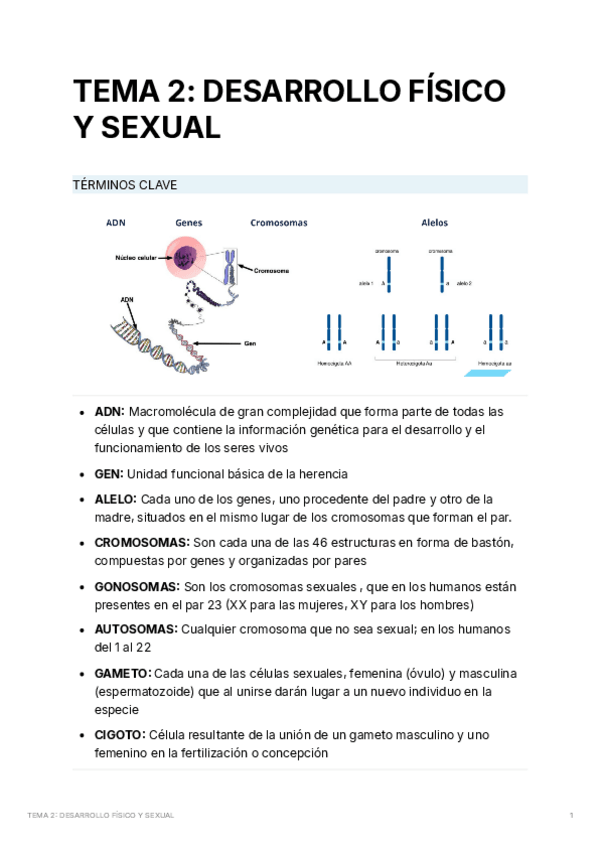 Miniatura del documento TEMA-2-DESARROLLO-FSICO-Y-SEXUAL.pdf