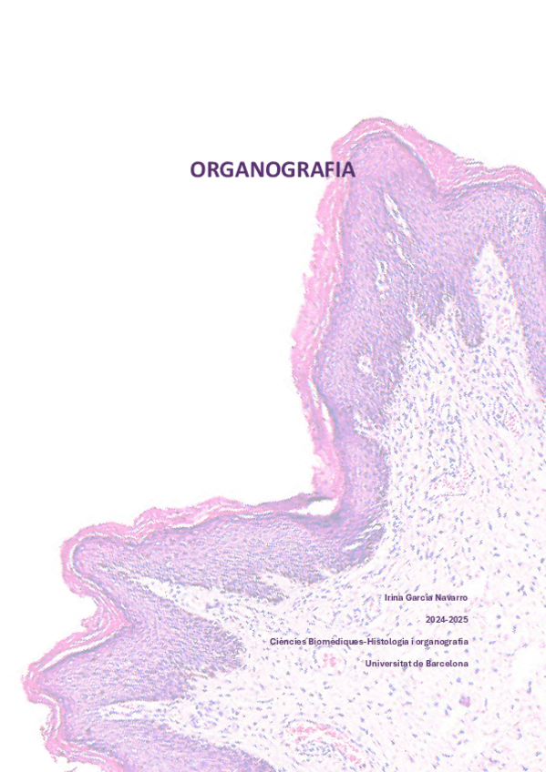 Miniatura del documento Final-Organografia.pdf
