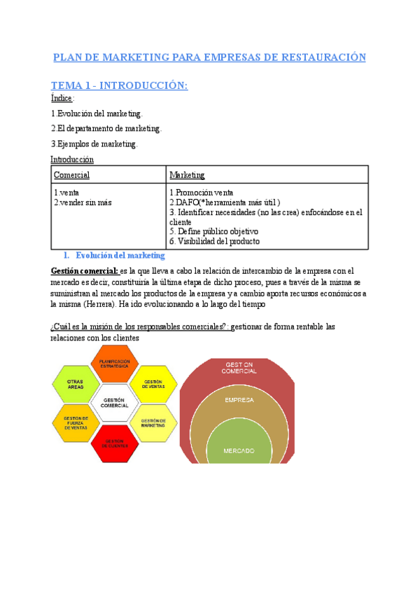 Miniatura del documento Plan-de-marketing-para-empresas.pdf