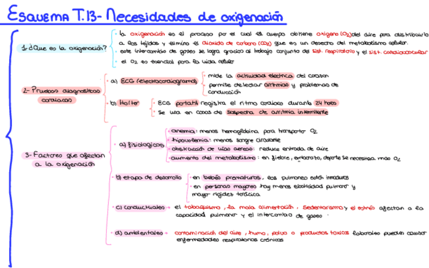 Miniatura del documento T.-13-Necesidades-de-oxigenacion-2.pdf