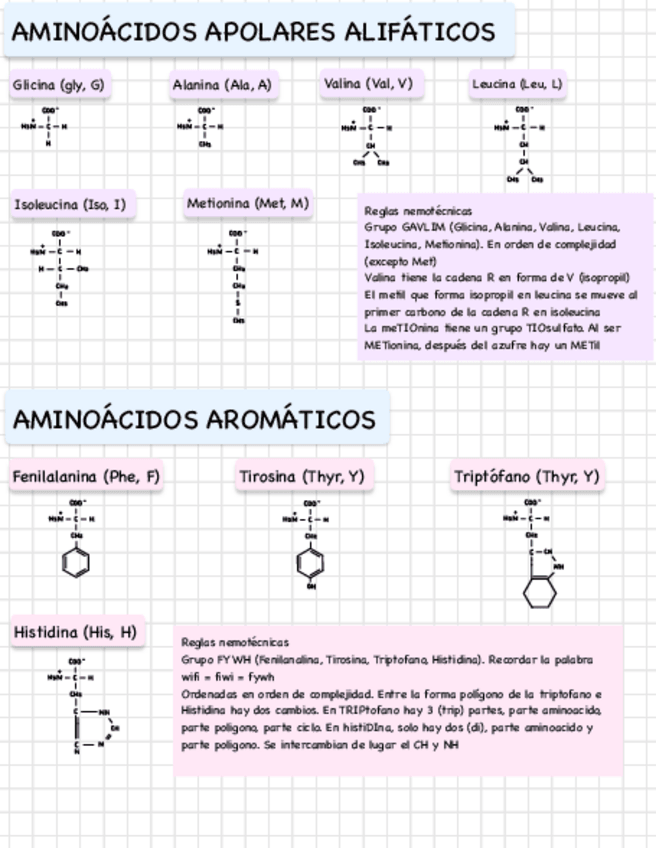Miniatura del documento Esquema-Aminoacidos-reglas-pnemotecnicas.pdf