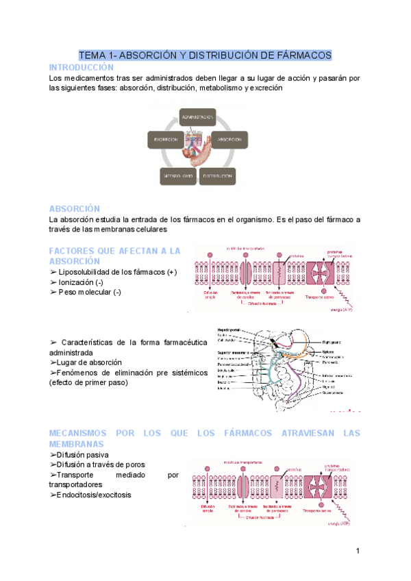 Miniatura del documento TEMA-1-ABSORCION-Y-DISTRIBUCION-DE-FARMACOS.pdf