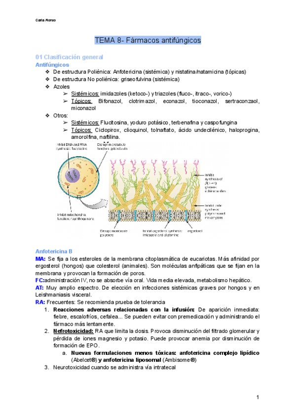 Miniatura del documento TEMA-8-Farmacos-antifungicos.pdf