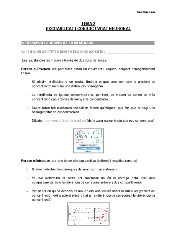 Miniatura del documento TEMA-2-EXCITABILITAT-I-CONDUCTIVITAT-NEURONAL.pdf