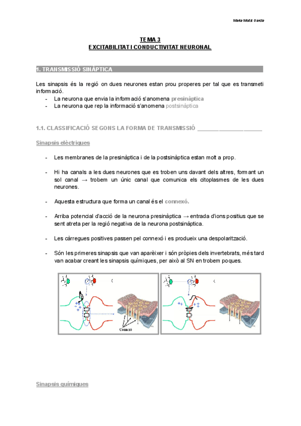 Miniatura del documento TEMA-3-EXCITABILITAT-I-CONDUCTIVITAT-NEURONAL.pdf