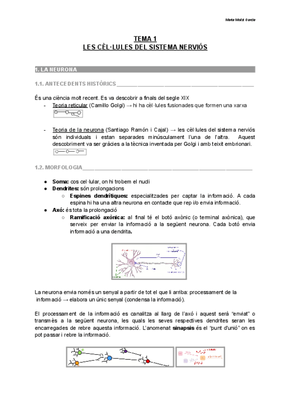Miniatura del documento TEMA-1-LES-CELLULES-DEL-SISTEMA-NERVIOS.pdf