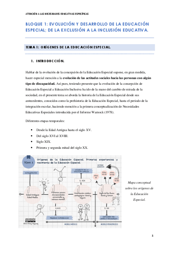 Miniatura del documento BLOQUE-I-TEMA-1-2-Y-3-ANEE.pdf