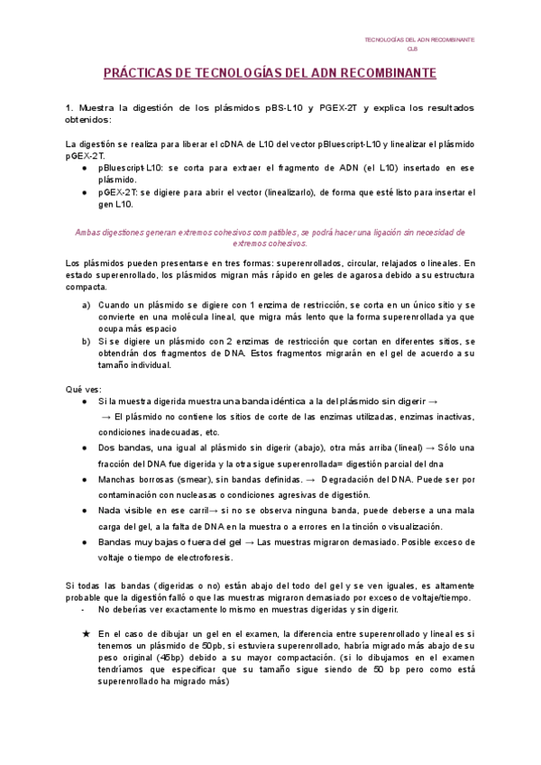 Miniatura del documento practicas-TAR-explicadas-para-examen.pdf