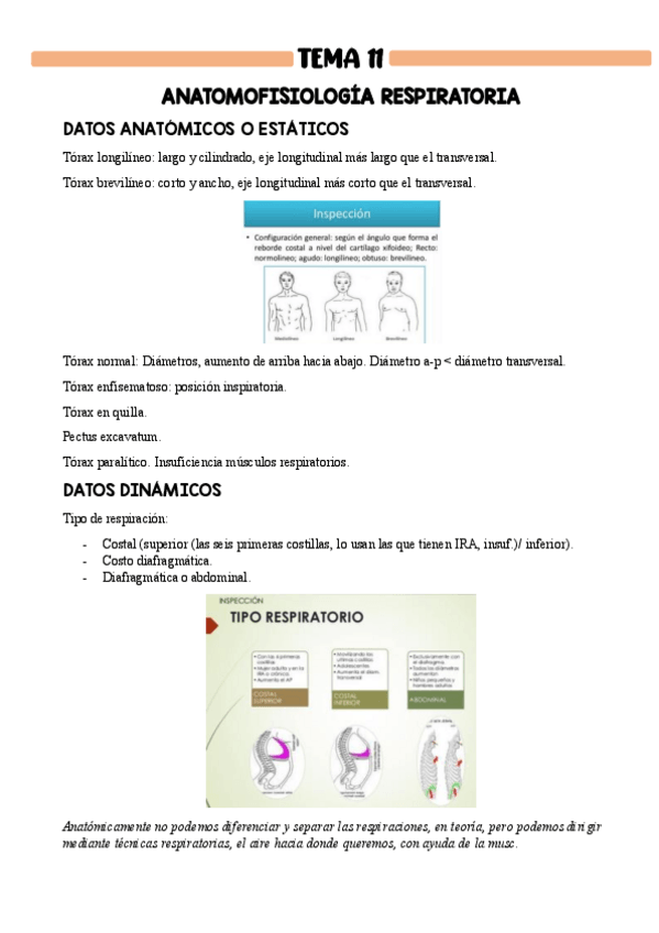 Miniatura del documento bloque-respiratorio-teoria.pdf