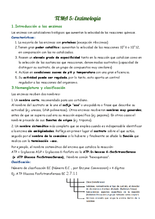 Miniatura del documento Tema-5-Enzimologia.pdf