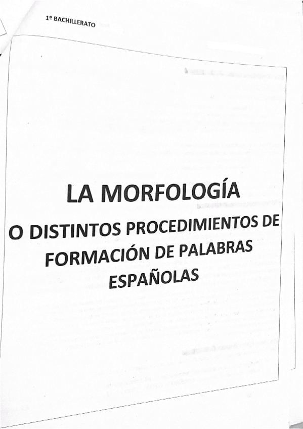 Miniatura del documento La-morfologia.pdf
