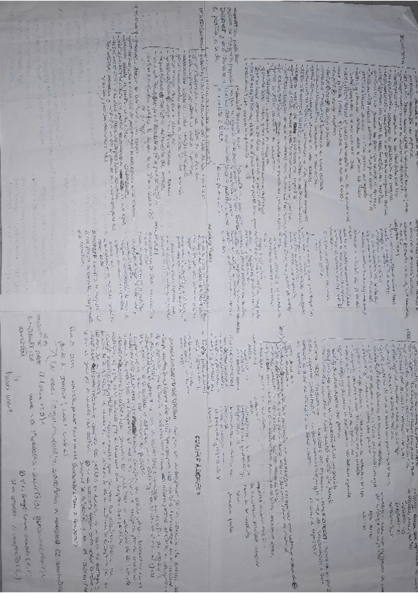 Miniatura del documento Esquema-ProyectoDP.pdf