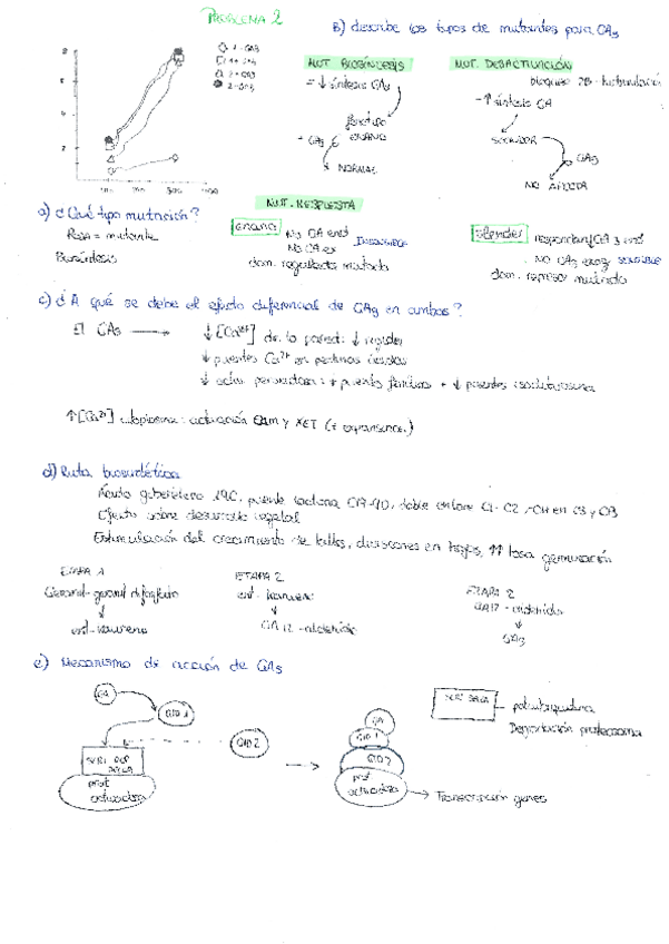 Miniatura del documento problema-2-bloque-1-con-soluciones.pdf