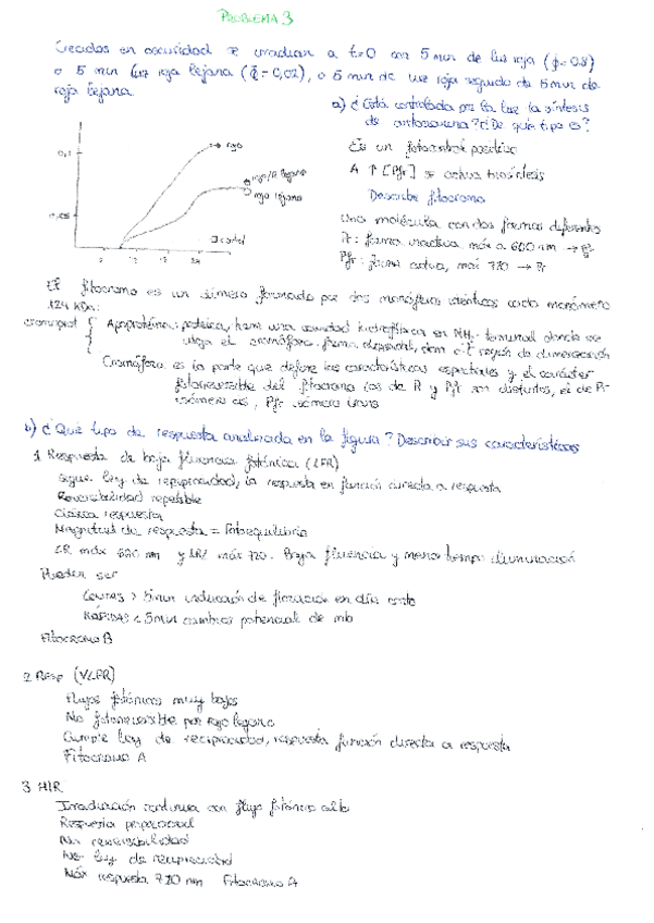 Miniatura del documento problema-3-bloque-1-con-soluciones.pdf