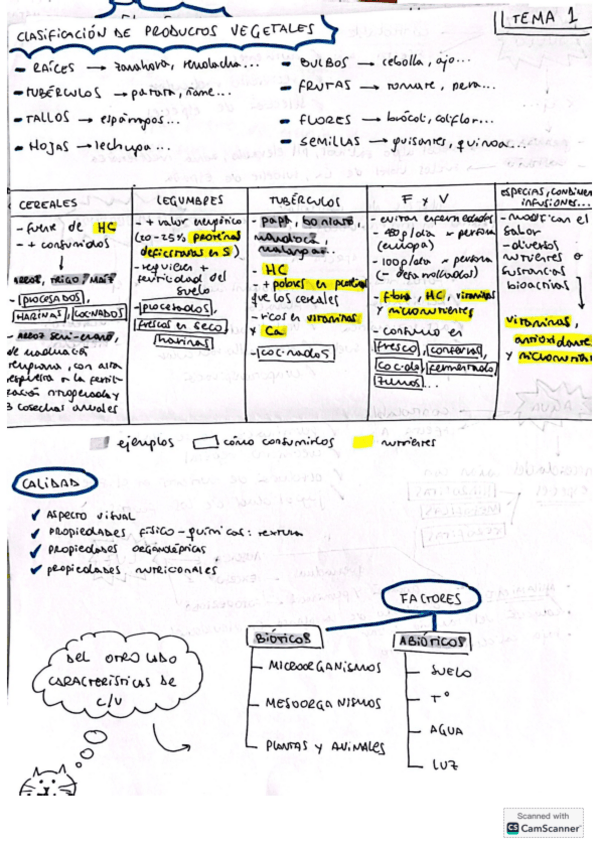 Miniatura del documento tema-1-4-vegetal.pdf