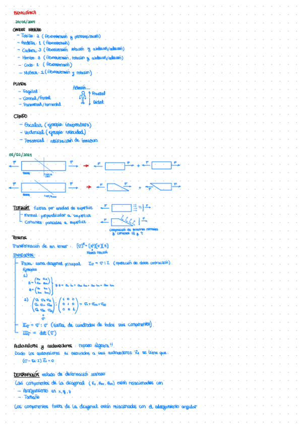Miniatura del documento Apuntes-Biomecanica.pdf