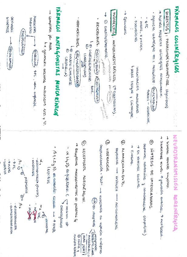 Miniatura del documento Esquemas-Farmacos.pdf