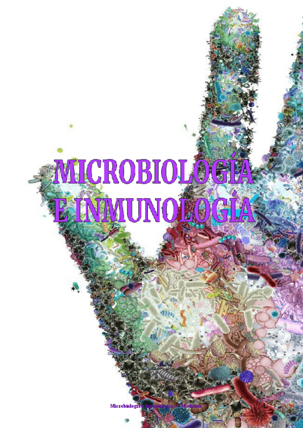 Miniatura del documento MICRO-TEMAS-1-6.pdf