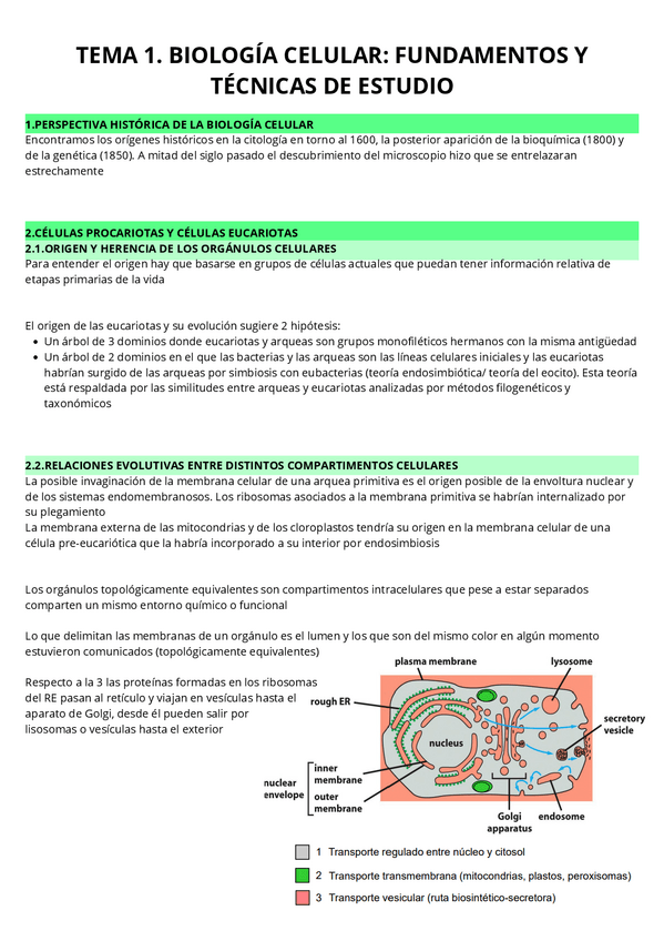 Miniatura del documento T1.-Biologia-celular.-Fundamentos-y-tecnicas-de-estudio.pdf