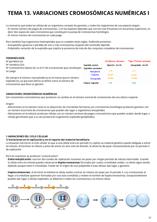 Miniatura del documento T13-14.-Variaciones-cromosomicas-numericas.pdf