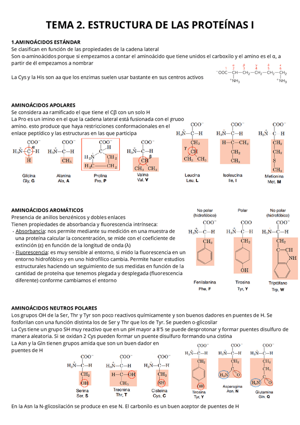 Miniatura del documento T2-3.-Estructura-de-las-proteinas.pdf
