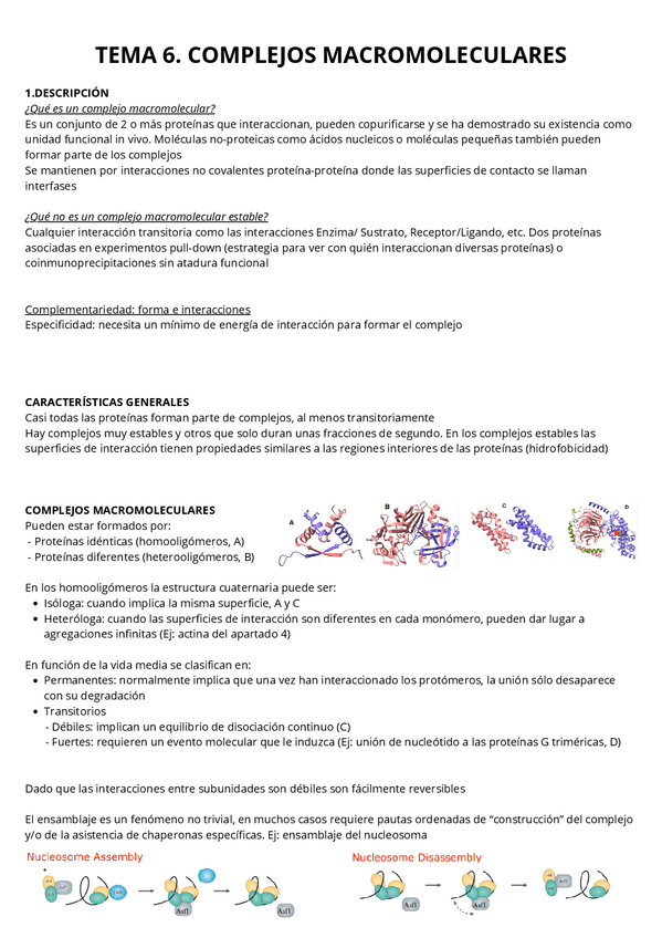 Miniatura del documento T6.-Complejos-macromoleculares.pdf